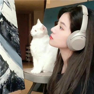 极品家丁