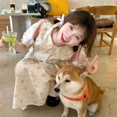 小鸟依人